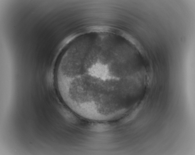 X0000115261074200911061234