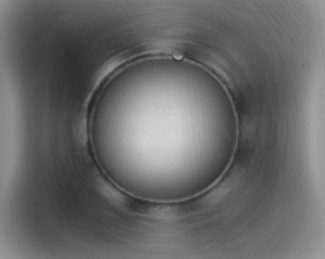 X0000115261075200911061234