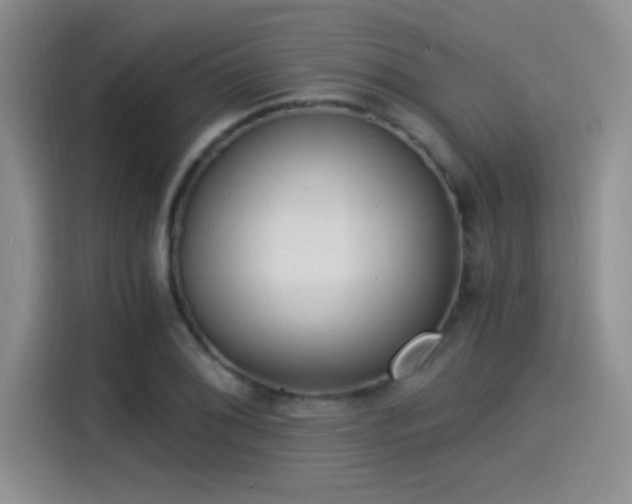 X0000115261076200911061234