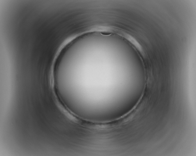 X0000115261080200911061234