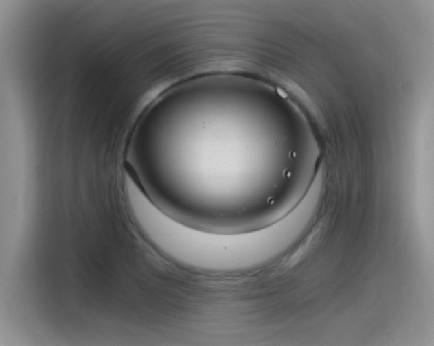 X0000115261081200911061234