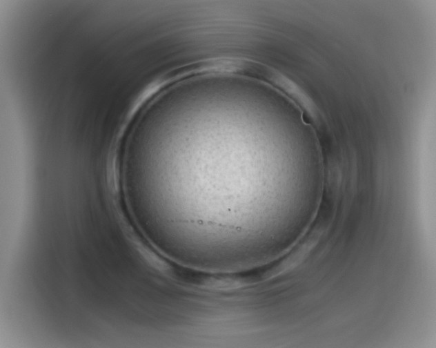 X0000115261083200911061234