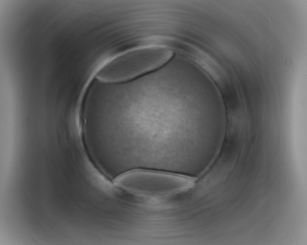 X0000115261084200911061234