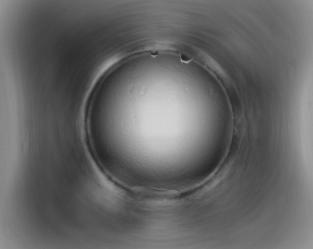 X0000115261087200911061234