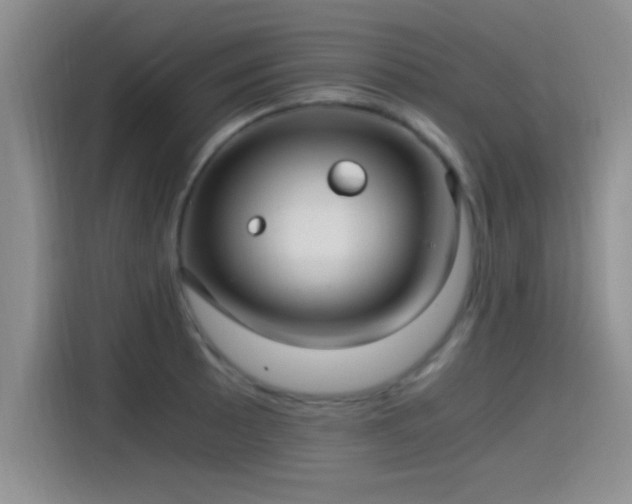 X0000115261089200911061234