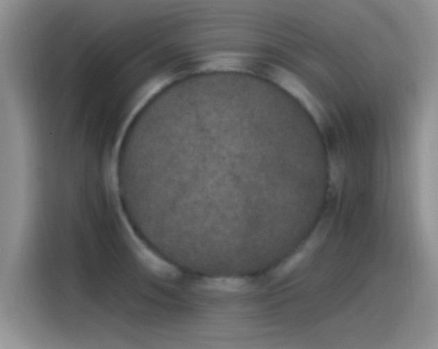 X0000115261090200911061234