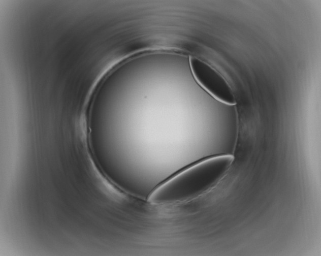 X0000115261092200911061234