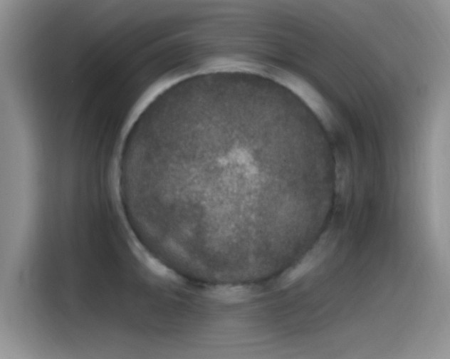 X0000115261094200911061234