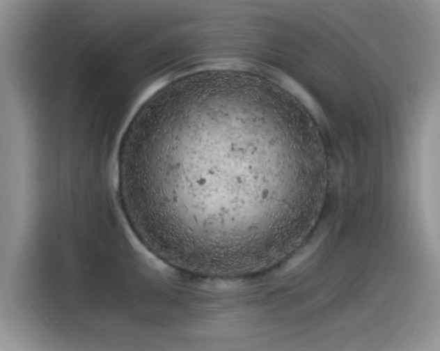 X0000115261095200911061234