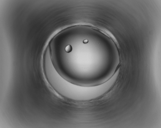 X0000115261096200911061234