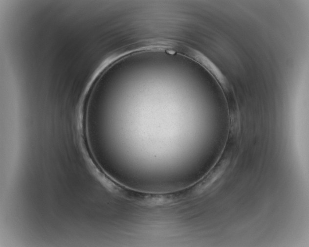 X0000115261099200911061234