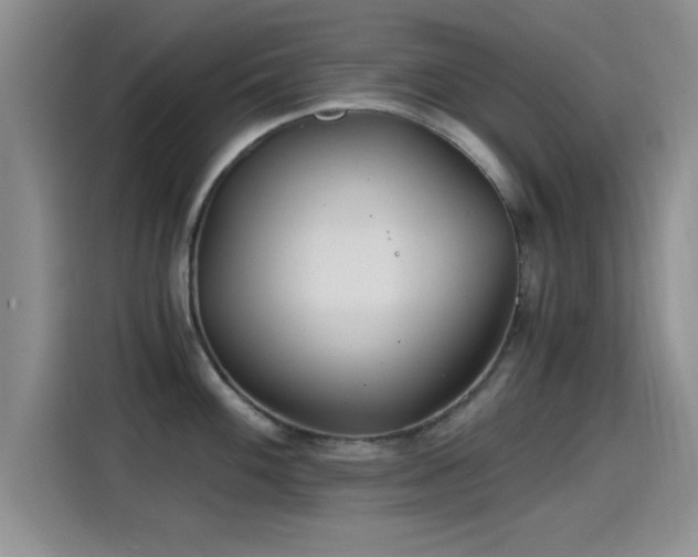 X0000115261100200911061234