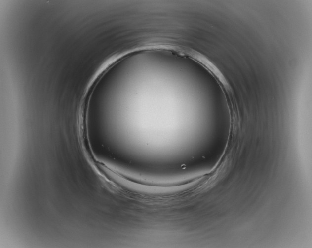 X0000115261101200911061234