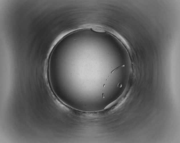 X0000115261102200911061234