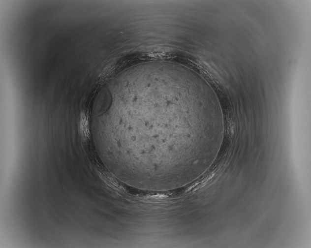 X0000115261106200911061233