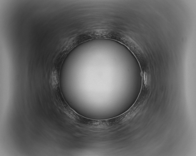 X0000115261107200911061233