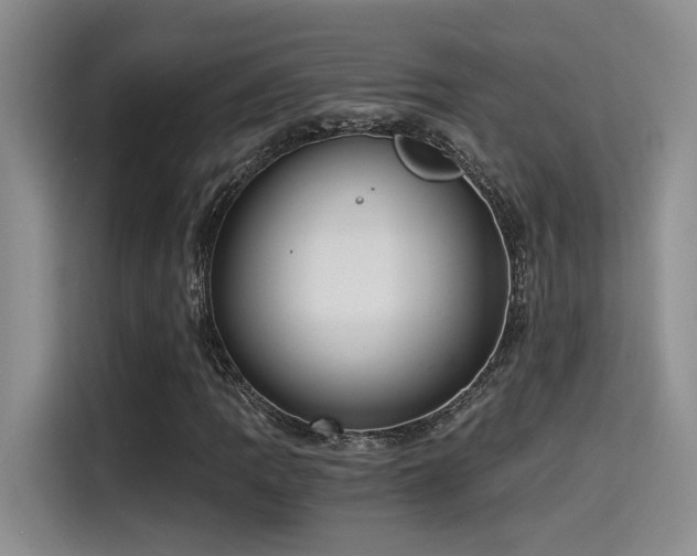 X0000115261109200911061233