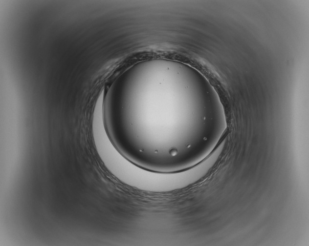 X0000115261110200911061233