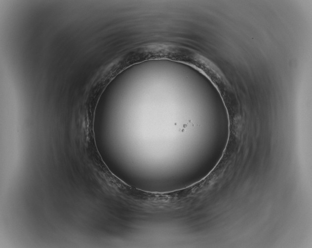 X0000115261111200911061233