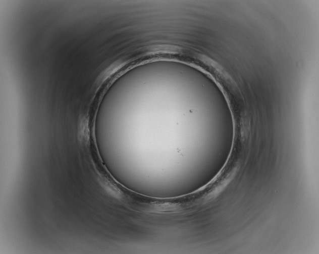 X0000115261113200911061233