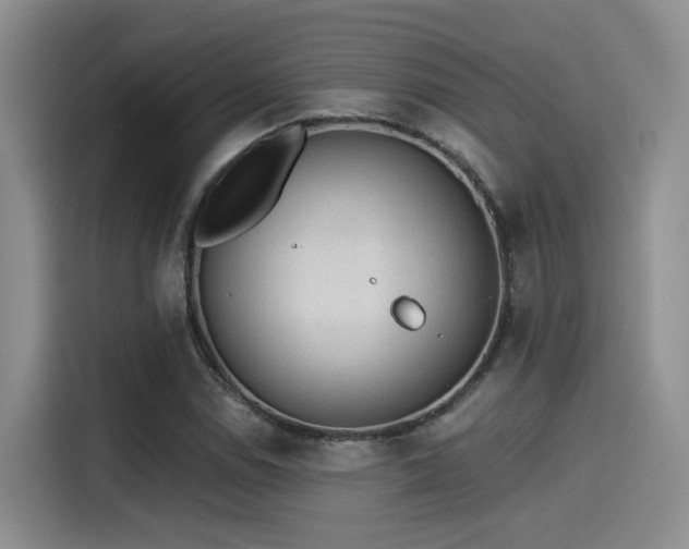 X0000115261114200911061233