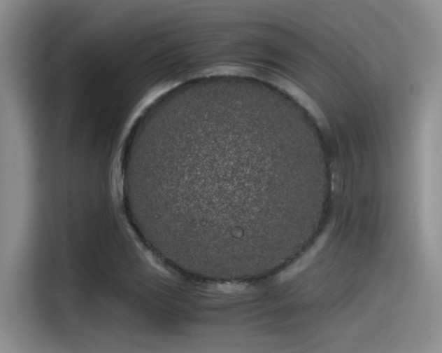 X0000115261117200911061233