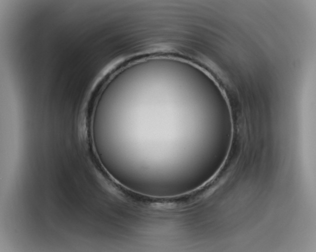 X0000115261118200911061233
