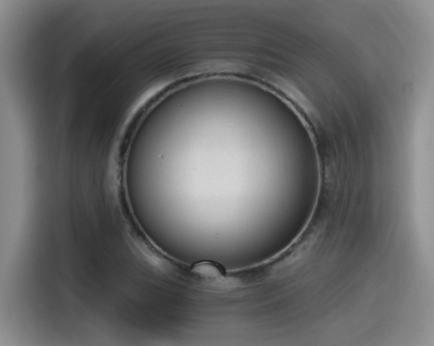X0000115261119200911061233