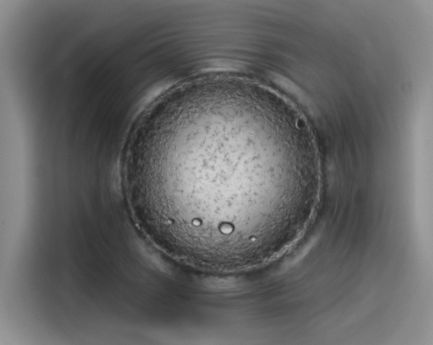 X0000115261121200911061233