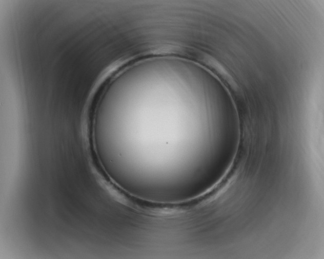 X0000115261122200911061233