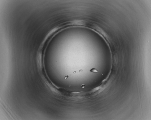 X0000115261123200911061233