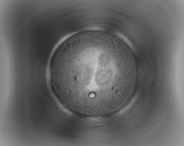 X0000115261125200911061233