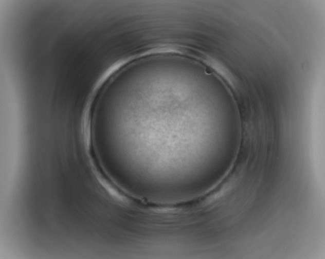 X0000115261127200911061233
