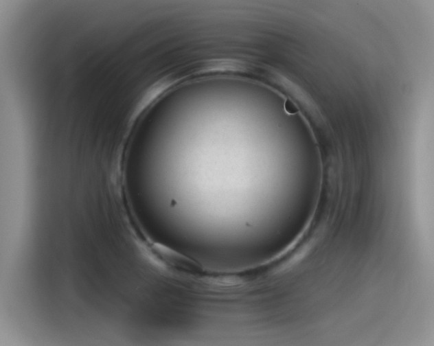 X0000115261129200911061233