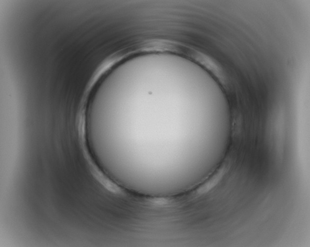 X0000115261130200911061233