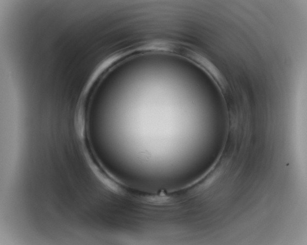 X0000115261131200911061233