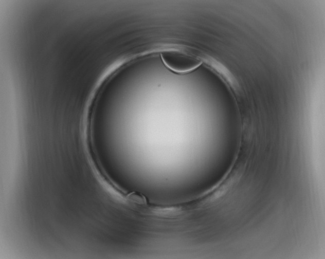 X0000115261135200911061233