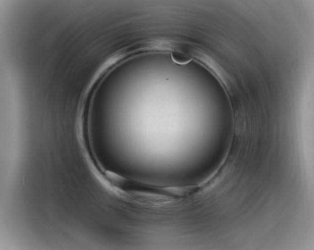 X0000115261139200911061233