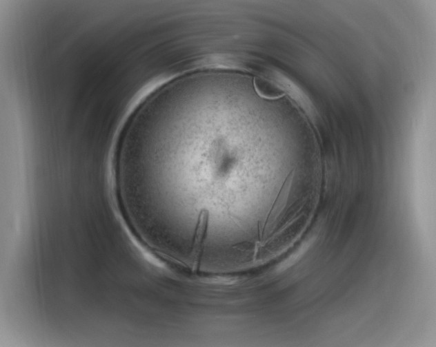 X0000115261141200911061233