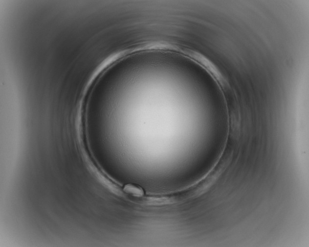 X0000115261142200911061234