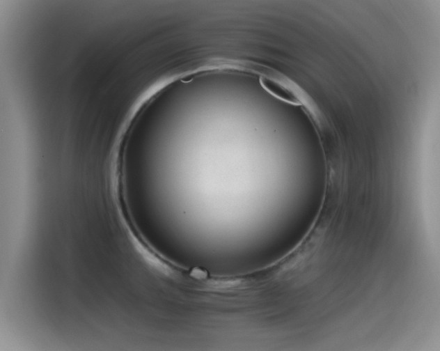 X0000115261143200911061234