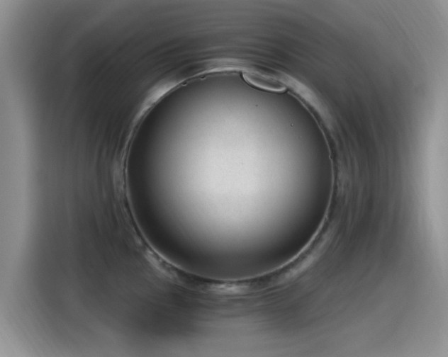 X0000115261145200911061234