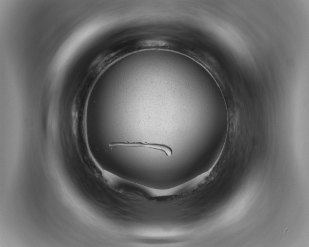 X0000115261151200911061234