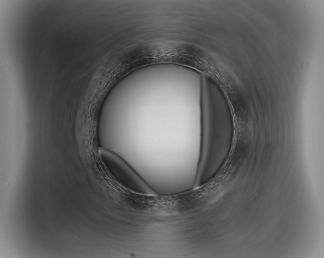 X0000115261153200911061233
