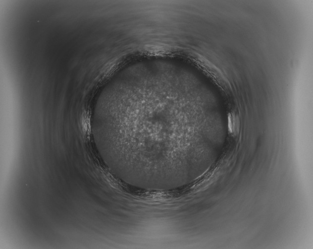 X0000115261155200911061233