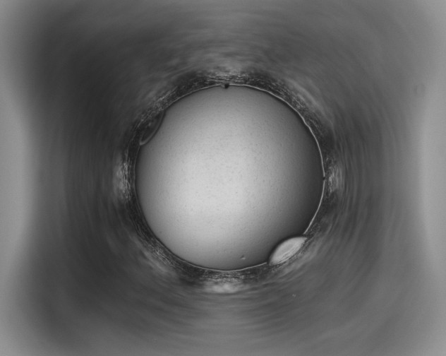 X0000115261156200911061233