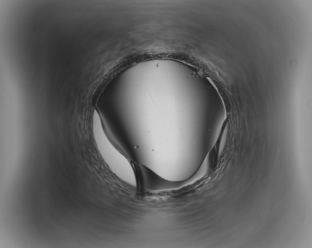 X0000115261157200911061233