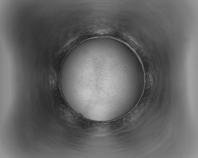 X0000115261158200911061233