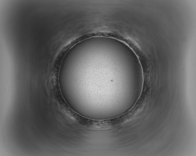 X0000115261159200911061233