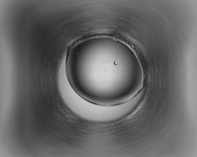 X0000115261161200911061233